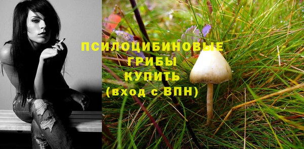 метадон Бикин