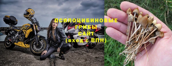 СК Вязники