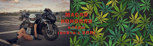 ГАЛЛЮЦИНОГЕННЫЕ ГРИБЫ Вяземский