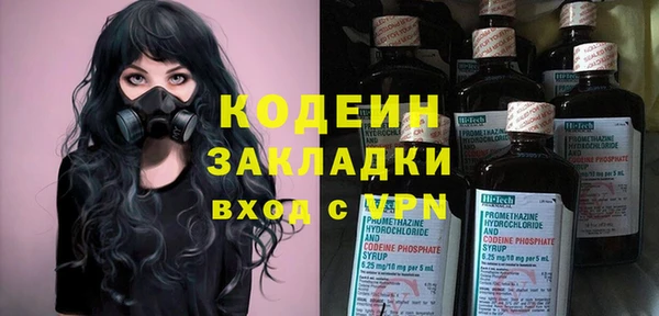 ГАЛЛЮЦИНОГЕННЫЕ ГРИБЫ Вяземский