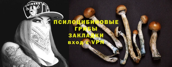СК Вязники