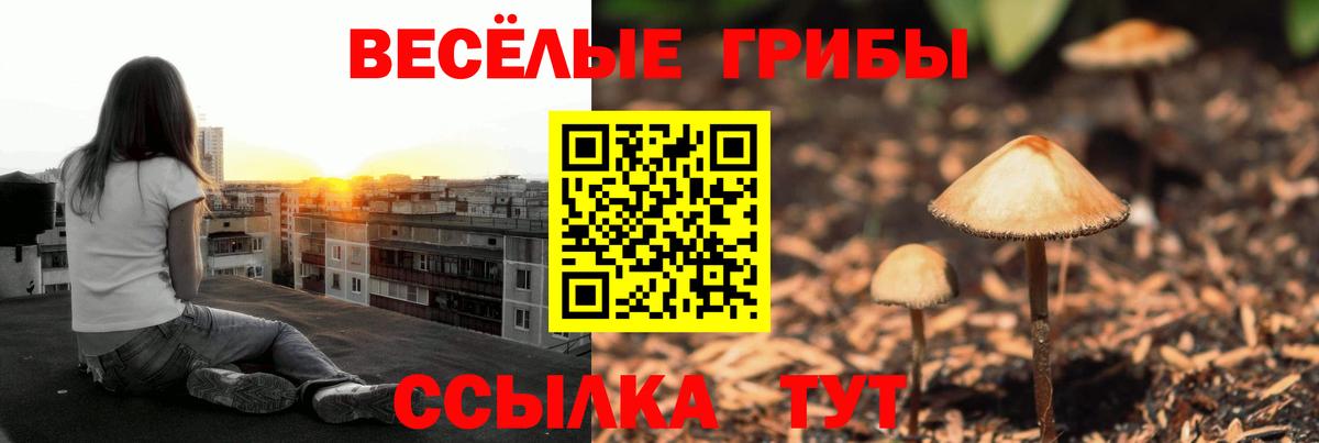 Галлюциногенные грибы мухоморы  Галлюциногенные грибы прущие грибы  Вход с VPN  Донской 